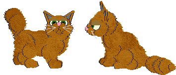 Sandz Cat