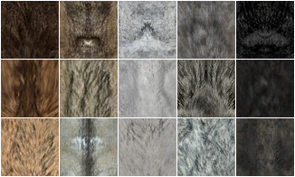 Wolfquest Fur