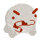 Snöbal Adult