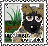 19_pawsible.png