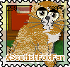 289_scottishfoldfan.png