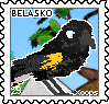 29_belasko.png