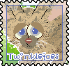 596_twinkletoes.png