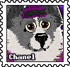 Chanel.png
