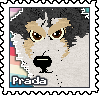 Prada.png