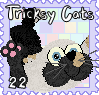 aubrey-tricksycats-canerday.png