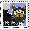 elderberry.png