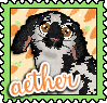 funfetti-aether-stamp.png
