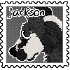 jackson.png