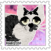 moonflower012harlow.png