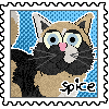spice.png