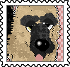 stamp-wapiti.png