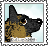 stamp-twr-032022-kaltag_orig.png