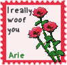vday26-arie.png
