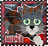 132_dgmidge.png