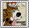 PUGSScoobyRoo.png