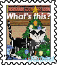 Starfrost-WhiskerWonderland25-whats-this.png
